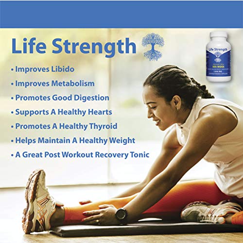 Life Strength Organic Sea Moss 120 CT Wildcrafted Irish Sea Moss and Bladderwrack Burdock Life StrengthBuy Supplements Australia