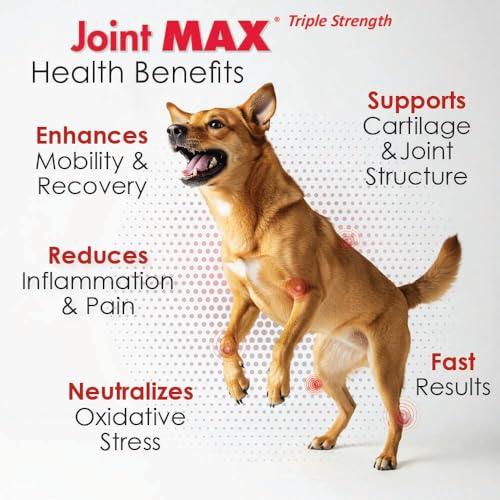 Joint Max TS Joint Supplement Vet Formulated Pain & Inflammation Relief Treats Hip Dysplasia & Arthritis, Glucosamine, Chondroitin, Turmeric, MSM, HA, Creatine, Omega 3 EPA + DHA.120 Soft Chews Joint MaxBuy Supplements Australia