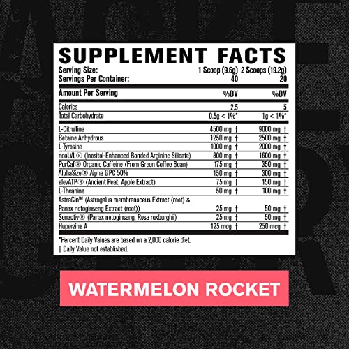 Jacked Factory Nitrosurge Max Nootropic Pre Workout Powder - Premium Pre Workout Jacked FactoryBuy Supplements Australia
