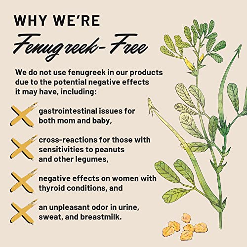 Legendairy Milk Cash Cow Lactation Supplement, Moringa, Alfalfa, and Goat's Rue Legendairy MilkBuy Supplements Australia