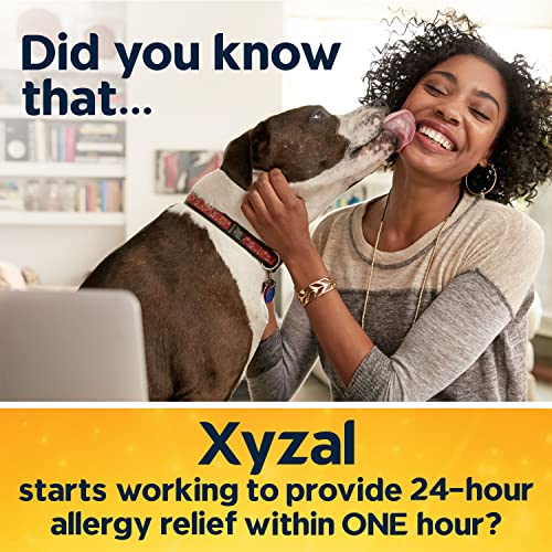 Xyzal Allergy Pills, 24-Hour Allergy Relief, 80-Count, Original Prescription Strength XyzalBuy Supplements Australia