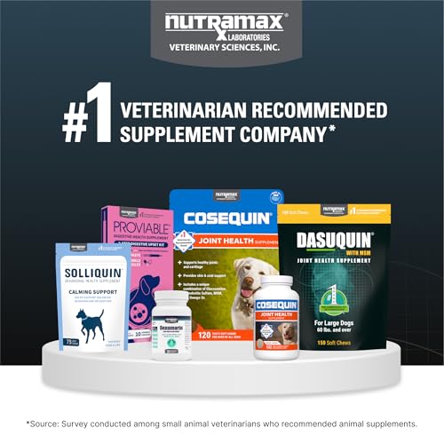 Nutramax Dasuquin for Small to Medium Dogs, Joint Health Supplement, Contains Glucosamine for Dogs, Plus Chondroitin, ASU and More, Supports Healthy Joints, Chewable Tablets, 150 Count Nutramax LaboratoriesBuy Supplements Australia