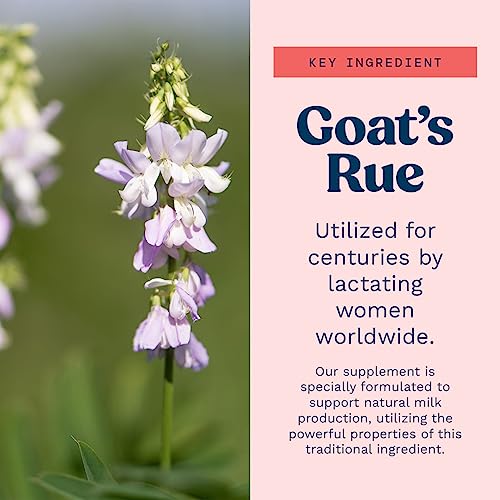 Goat's Rue Lactation Supplement For Increased Breast Milk, Lactation Supplement Mommy Knows BestBuy Supplements Australia