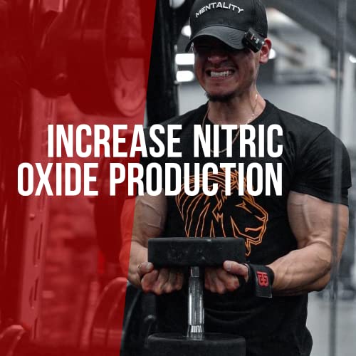 ALPHA LION Gains Candy, Supplement Pills for Muscle Pump & Blood Flow, Nitric Oxide ALPHA LIONBuy Supplements Australia
