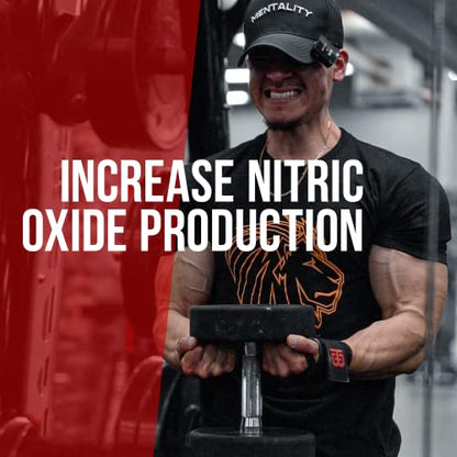 ALPHA LION Gains Candy, Supplement Pills for Muscle Pump & Blood Flow, Nitric Oxide ALPHA LIONBuy Supplements Australia