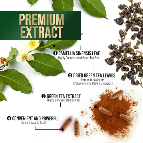 Nature's Green Tea Extract Pills 98% Standardized EGCG 1000mg - 3X Strength for Natural Nature's NutritionBuy Supplements Australia