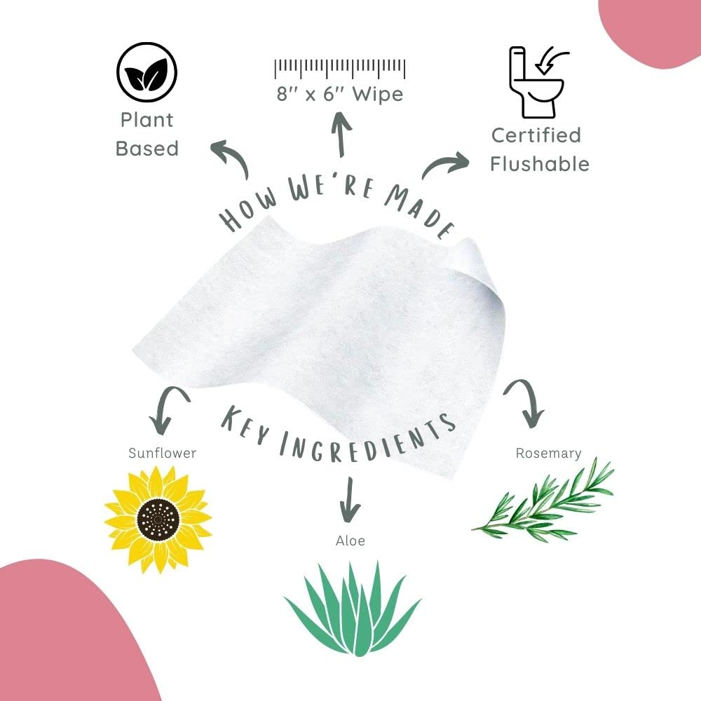 Stall Mates Wipes Feminine Fresh - Flushable | Individually Wrapped Cleansing Travel Friendly PH Stall Mates WipesBuy Supplements Australia
