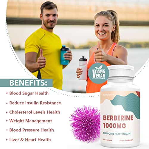 KoNefancy Berberine HCL Supplement 1000mg, High Absorption Berberine Plus Vegan KoNefancyBuy Supplements Australia