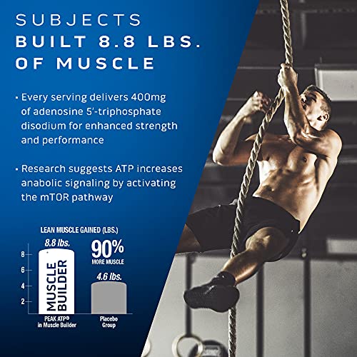 MuscleTech Muscle Building Supplements for Men & Women - Nitric Oxide MuscleTechBuy Supplements Australia