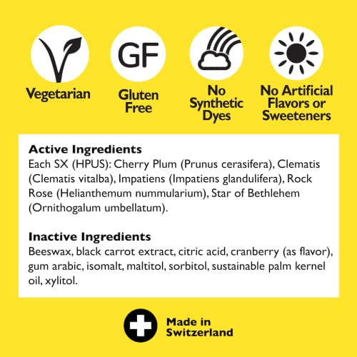 Bach RESCUE PASTILLES, Cranberry Flavor, Natural Stress Relief Lozenges RESCUEBuy Supplements Australia