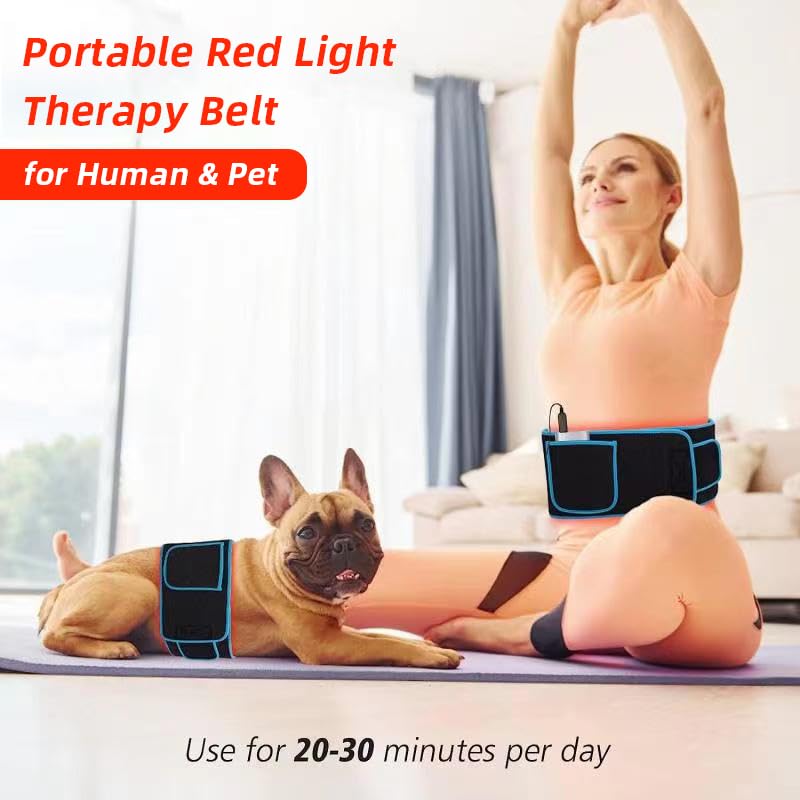 Red Light Therapy Belt, 660&850nm 3 -in-1 Big Chips Near Infrared Therapy Wrap for Body HEDYNSHINEBuy Supplements Australia