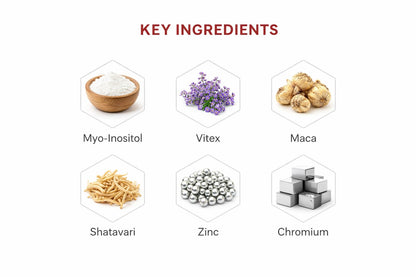 Zyzven Naturals Freja Advance – Women’s Wellness & Cycle Support Supplement – Myo-Inositol, Maca, Vitex, Shatavari, NAC, Zinc & Chromium – 60 Vegan Capsules – 30 Day Supply Zyzven NaturalsBuy Supplements Australia