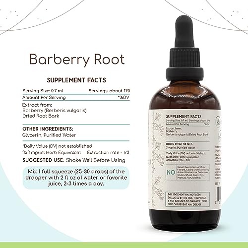 Barberry Root B120 Alcohol-Free Herbal Extract Tincture, Concentrated Liquid Drops Natural Barberry HerbEraBuy Supplements Australia