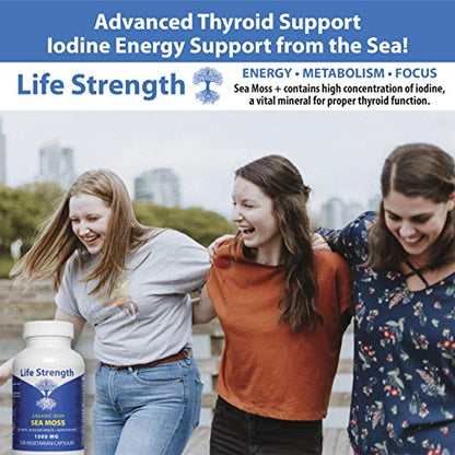 Life Strength Organic Sea Moss 120 CT Wildcrafted Irish Sea Moss and Bladderwrack Burdock Life StrengthBuy Supplements Australia