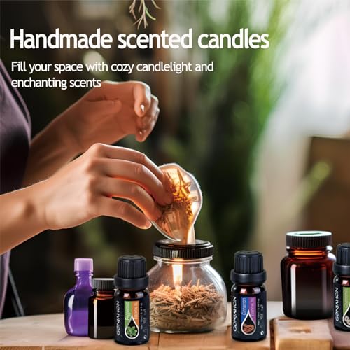 KMSCO Essential Oils Set -Top 16(0.33Fl Oz) Organic Plant Natural Fragrance Scents Blends Oil KMSCOBuy Supplements Australia