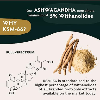 TRIBE ORGANICS Vegan Ashwagandha KSM 66 Pure Organic Root Powder Extract Ayurvedi TRIBE ORGANICSBuy Supplements Australia