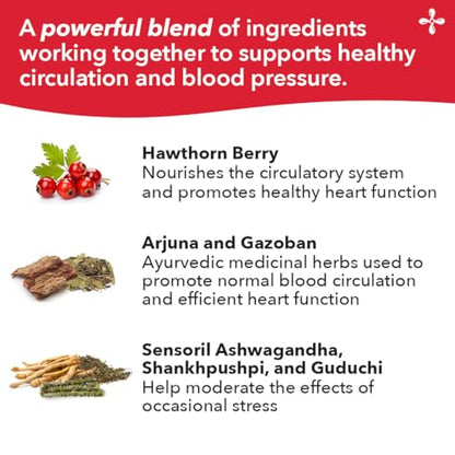 LifeSeasons B/P Stabili-T - Blood Pressure Support - Vitamin Supplement for Healthy Heart & Circulation - Ashwagandha, Arjuna & Hawthorn Berry - 240 Capsules LifeSeasonsBuy Supplements Australia