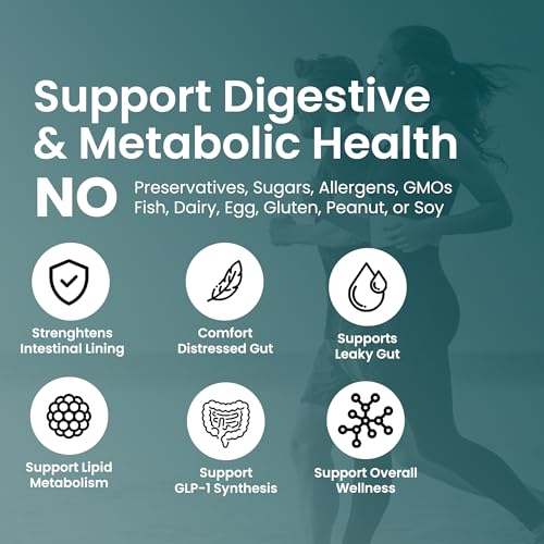 Akkermansia Muciniphila Probiotics for Digestive Health - 5 Billion TFU Akkermansia Probiotic UpNourishBuy Supplements Australia