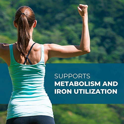 Seeking Health Molybdenum 500, Molybdenum Glycinate Chelate Supplement Seeking HealthBuy Supplements Australia