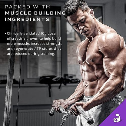 Muscletech Mass Gainer Mass-Tech Extreme 2000, Muscle Builder Whey Protein Powder MuscleTechBuy Supplements Australia