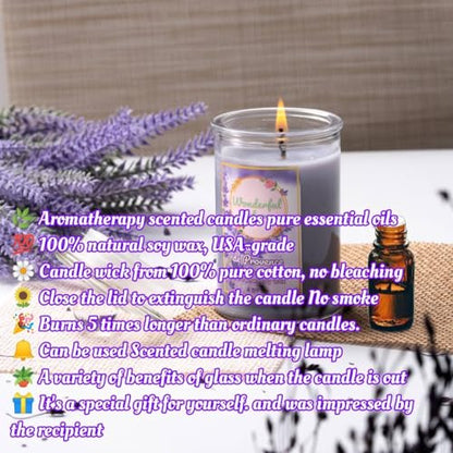 Wonderfulnature Lavender de Provence Pure Essential Oil Scented Candle, Aromatherapy WONDERFUL NATUREBuy Supplements Australia