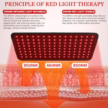 Yofalo 660nm LED Red Light and 850nm Near Infrared Red Light Therapy Belt Device for Body Pain Waist yofaloBuy Supplements Australia