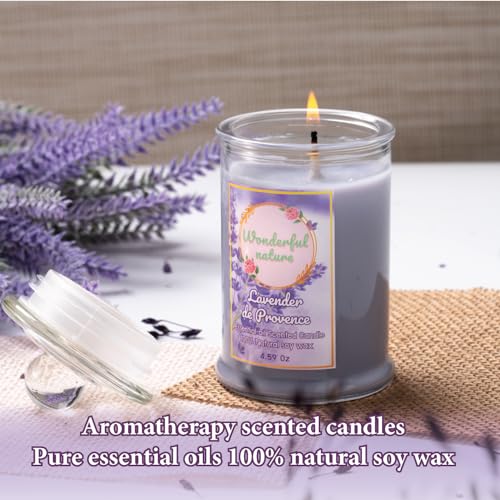 Wonderfulnature Lavender de Provence Pure Essential Oil Scented Candle, Aromatherapy WONDERFUL NATUREBuy Supplements Australia