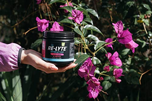REDMOND Re-Lyte Hydration Electrolyte Mix (Mixed Berry) REDMONDBuy Supplements Australia