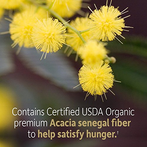 Garden of Life Dr Formulated Organic Fiber Supplement Powder Unflavored, Sugar Free Garden of LifeBuy Supplements Australia