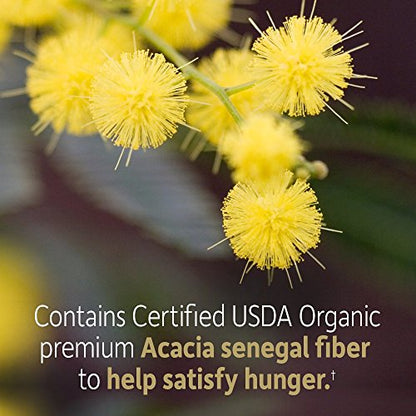 Garden of Life Dr Formulated Organic Fiber Supplement Powder Unflavored, Sugar Free Garden of LifeBuy Supplements Australia