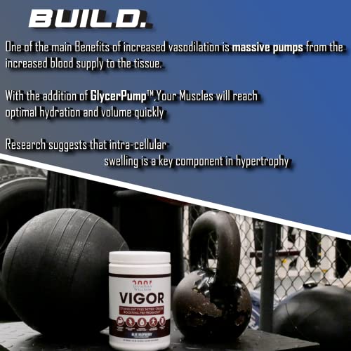 Leviathan Wellness Vigor - Stimulant Free, Nitric Oxide Boosting Pre-Workout Powder Leviathan WellnessBuy Supplements Australia