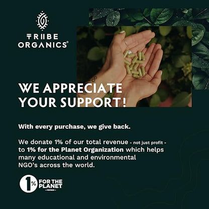 TRIBE ORGANICS Vegan Ashwagandha KSM 66 Pure Organic Root Powder Extract Ayurvedi TRIBE ORGANICSBuy Supplements Australia