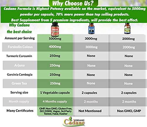 2 Packs Organic Forskolin Supplements Capsules 5000mg with Turmeric, Arjuna, Garcinia Cambogia Organic CadaneBuy Supplements Australia