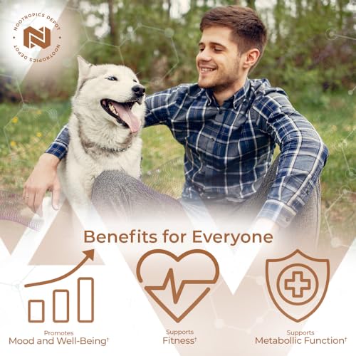 Nootropics Depot Fenugreek Extract Capsules | 500mg | 60 ct | 2.5% Trigonelline Nootropics DepotBuy Supplements Australia