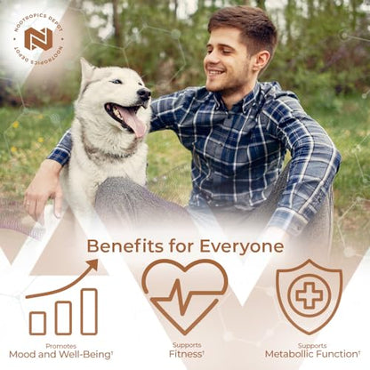 Nootropics Depot Fenugreek Extract Capsules | 500mg | 60 ct | 2.5% Trigonelline Nootropics DepotBuy Supplements Australia