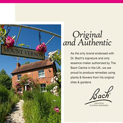 Bach Original Flower Remedies, Star of Bethlehem for Grief and Shock (Non-Alcohol Formula) BachBuy Supplements Australia