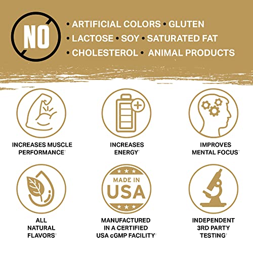 Ambrosia Kinetic Organic Preworkout, Mushroom Enhanced Natural Pre Workout Supplement AmbrosiaBuy Supplements Australia