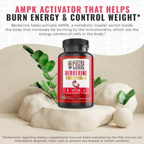 Native Logic Berberine HCL 1200mg with Ceylon Cinnamon, Bitter Melon, and Green Tea Native LogicBuy Supplements Australia