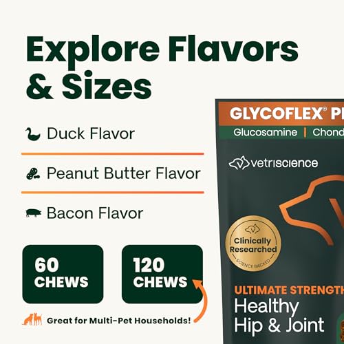 VetriScience Ultimate Strength Healthy Hip & Joint Chews, GlycoFlex Glucosamine, Chondroitin and Green-Lipped Mussel Joint Support Supplement for Dogs, Soothe Joint Discomfort, Duck, 120 Count VETRISCIENCEBuy Supplements Australia