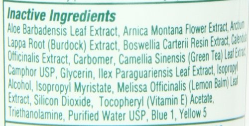 Bio Freeze Pain Relieving Gel, 4 Ounce, 12-Count BiofreezeBuy Supplements Australia