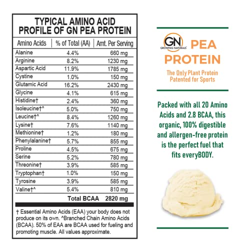 Growing Naturals | Vanilla Raw Pea Powder 15g Plant Protein | 2.8G BCAA, Low-Carb Growing NaturalsBuy Supplements Australia