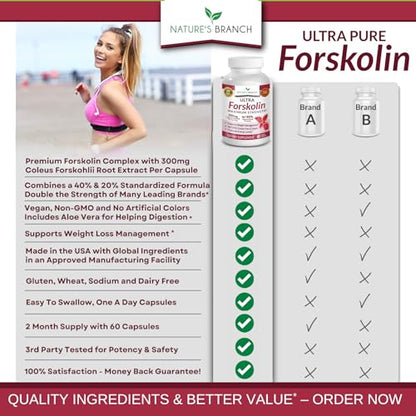 Premium 100% Ultra Pure Forskolin for Weight Loss Max Strength w/ 40% Standardized Nature's BranchBuy Supplements Australia