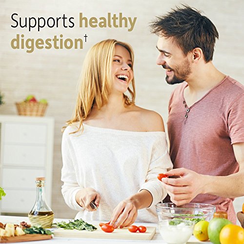 Garden of Life Dr Formulated Organic Fiber Supplement Powder Unflavored, Sugar Free Garden of LifeBuy Supplements Australia