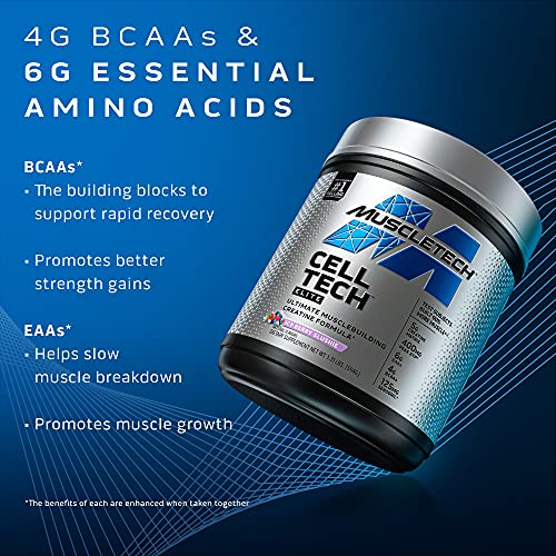 Creatine Powder | MuscleTech Cell-Tech Elite Creatine Powder | Post Workout Recovery MuscleTechBuy Supplements Australia