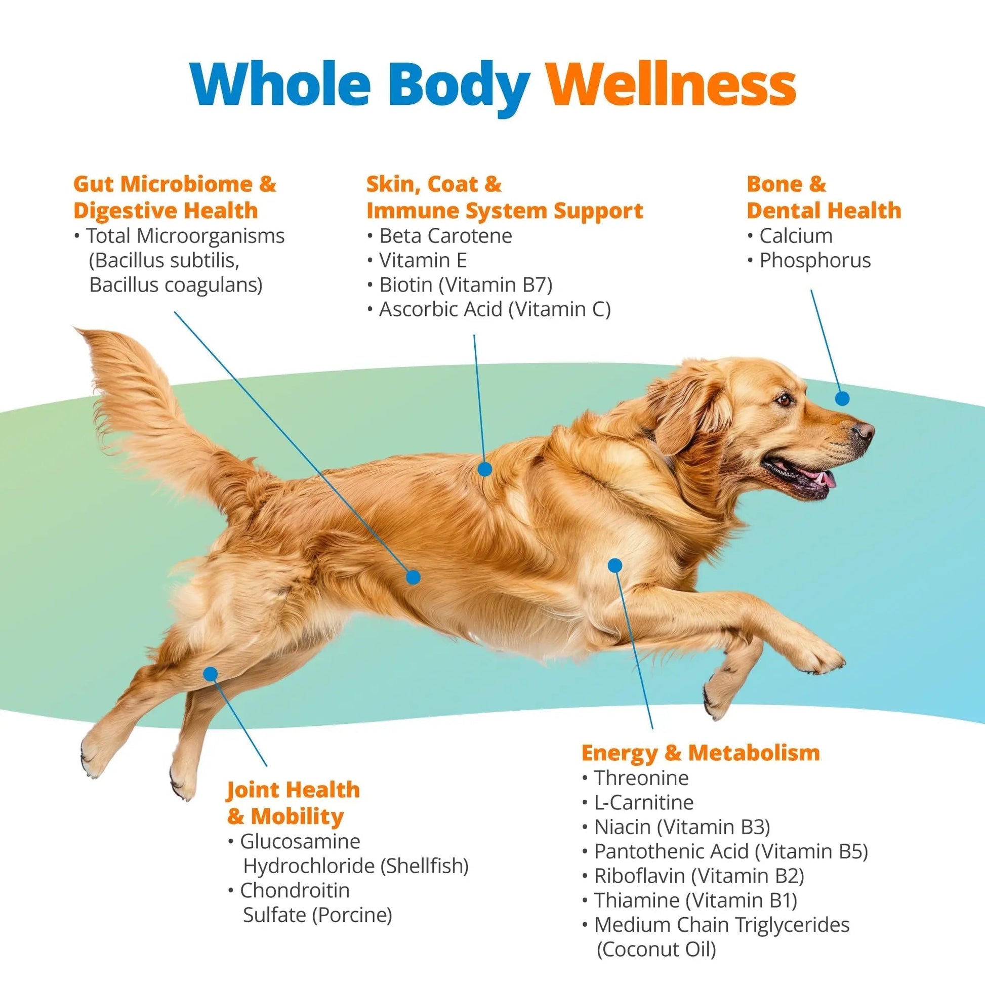 5Strands Dog Multivitamin Chews, 10-in-1, Vitamins & Postbiotics, All Ages & Breeds - Digestion, Brain, Organs, Heart, Mobility, Vision, Skin & Coat, Immunity - Dog Supplement (Peanut Butter, 90ct) - Maple Wellness Supplements