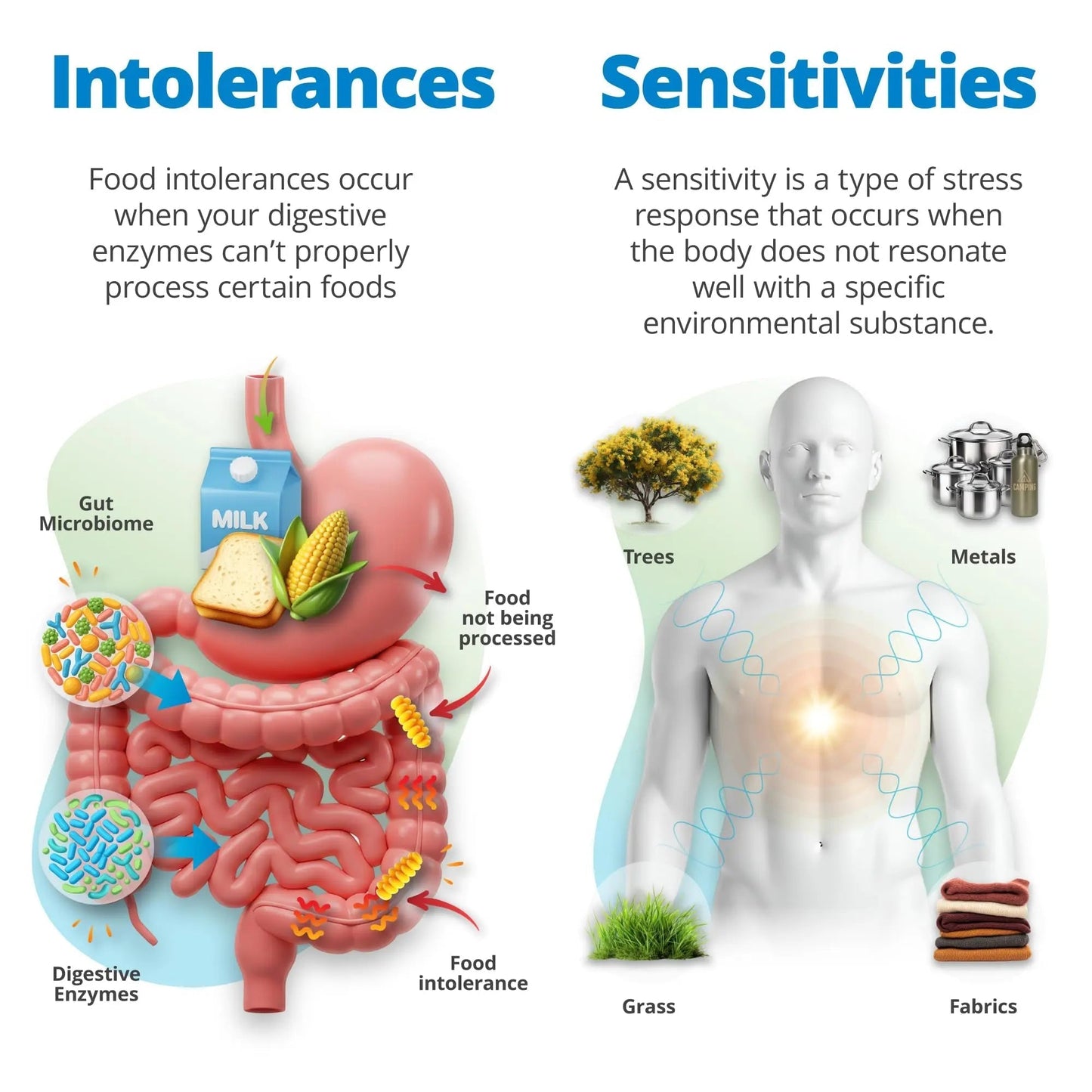 5Strands Food Intolerance & Environmental Sensitivity Test for Adults & Children, 950 Items Tested, Kids Intolerance Testing Kit, at Home Gut Health Assessment, Fast 4 Day Results - Maple Wellness Supplements
