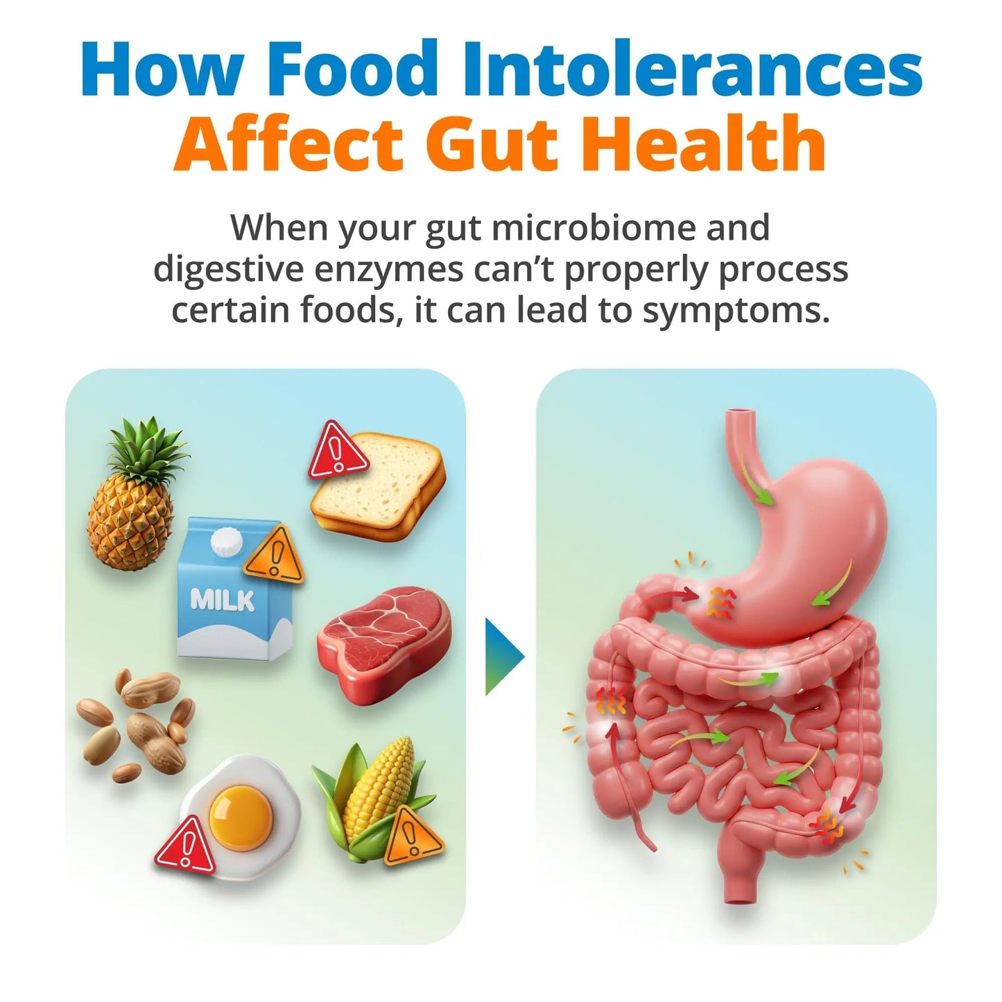 5Strands Gut Health Test for Adults & Kids, 500+ Items Tested, At-Home Hair Sample Screening for Food Intolerances Linked to Digestive Issues, Skin Irritation, Brain Fog & Headaches, Results in 4 Days - Maple Wellness Supplements