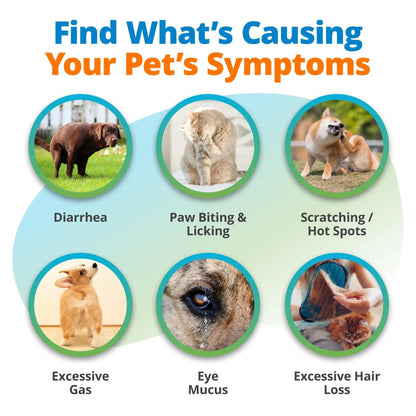 5Strands Raw & Fresh Pet Food Intolerance Test, at Home Gut Health Test for Dogs & Cats, 400+ Raw & Gently Cooked Fresh Food Items Tested, Accurate for All Ages & Breeds, Fast 4 Day Results - Maple Wellness Supplements