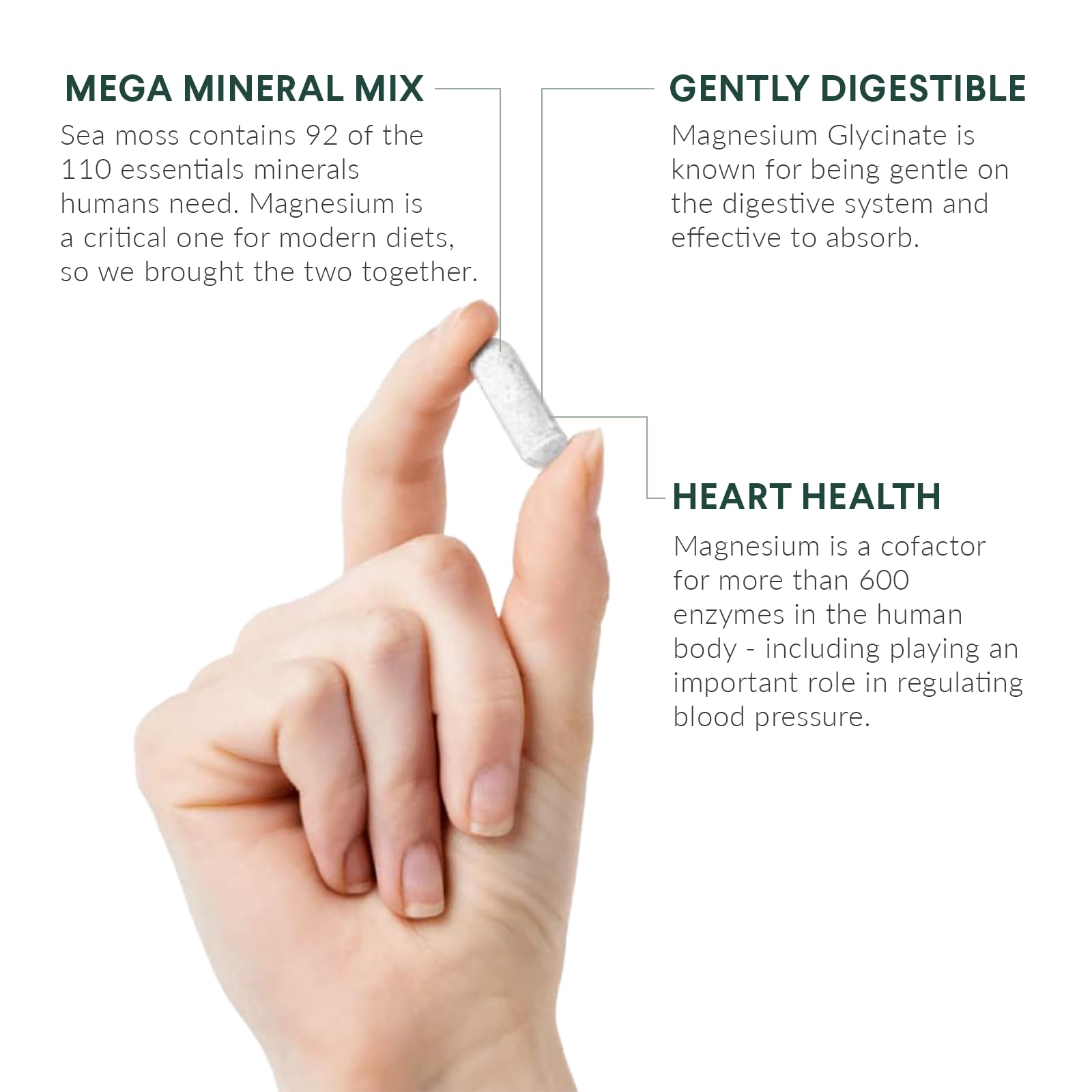 Nutritional Roots - Magnesium + Irish Sea Moss - 350mg Magnesium Glycinate & Organic Irish Sea Moss - Essential Minerals - Supports Heart & Bone Health - Dietary Supplement - 30 Servings - 60 Capsules Nutritional RootsBuy Supplements Australia
