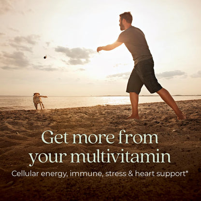 New Chapter Men’s Multivitamin, B6, Extra B12, D3, Vitamin C & Zinc, Immune, Heart, Cellular Energy, and Brain Health New ChapterBuy Supplements Australia